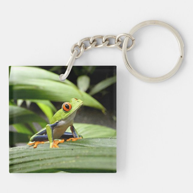 Porte-clefs Grenouille verte (Dos)