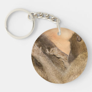 Porte-clefs Grooming baboons