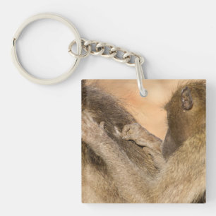 Porte-clefs Grooming baboons