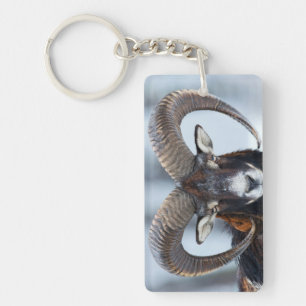 Porte-clefs Gros mouton de bélier à corne - Mouflon