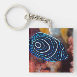 Porte-clefs Gros plan de poisson-ange empereur