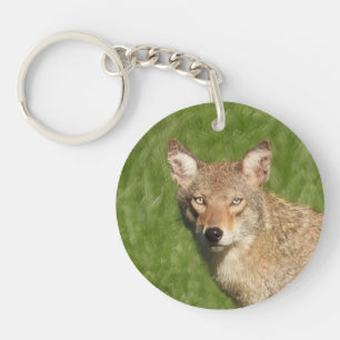 Porte-clefs Gros plan sur le coyote
