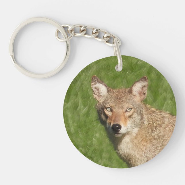 Porte-clefs Gros plan sur le coyote (Devant)
