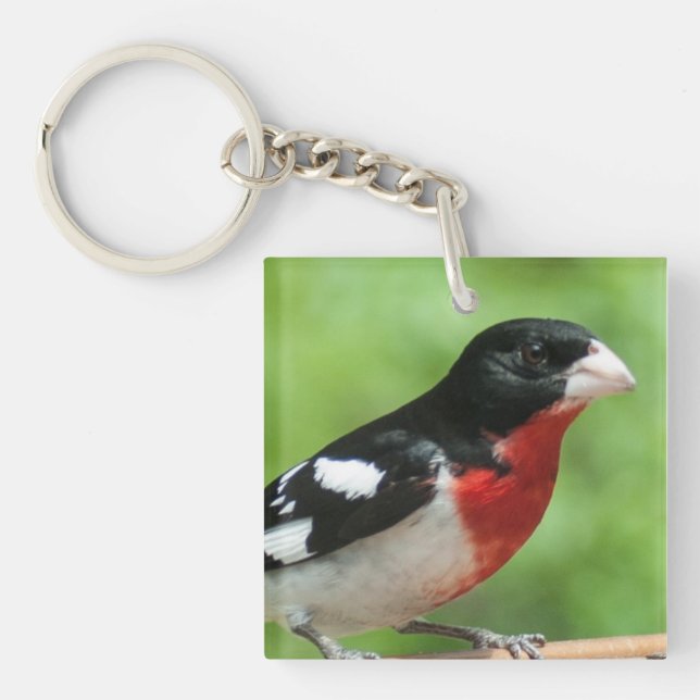 Porte-clefs Grosbeak à poitrine rose (Devant)