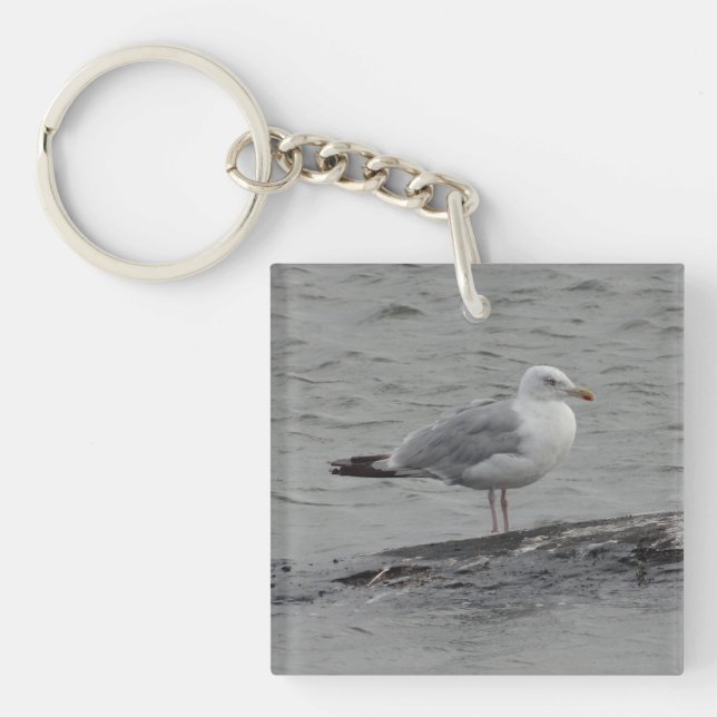 Porte-clefs Grosse mouette (Devant)