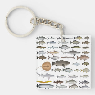 Porte-clefs Groupe de poissons d'eau douce Australie
