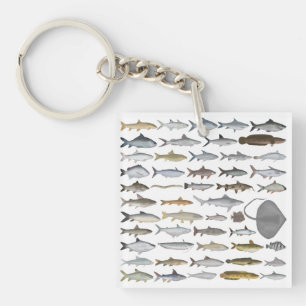 Porte-clefs Groupe de poissons d'eau douce d'Asie du Sud