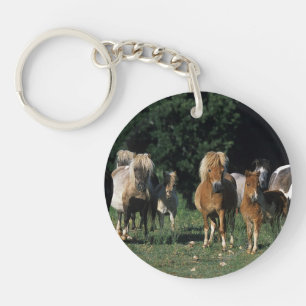 Porte-clefs Groupe de poulains miniatures