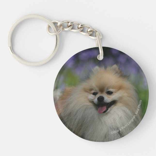 Porte-clefs Halètement de Pomeranian (Devant)
