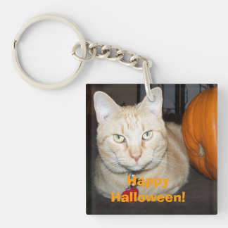 Porte-clefs Happy Halloween Tabby Chat orange avec Citrouille