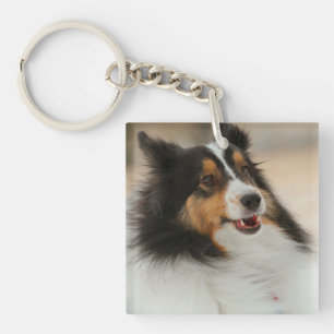 Porte-clefs Happy Shelty Soccer Ball