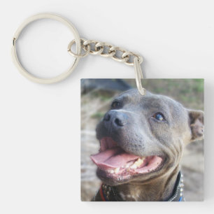 Porte-clefs Happy Staffordshire Bull Terrier,