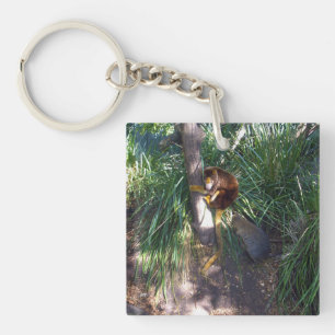Porte-clefs "Haut dans les arbres : Un arbre australien grimpe