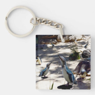 Porte-clefs Havre de paix : Paradis du manchot féerique,