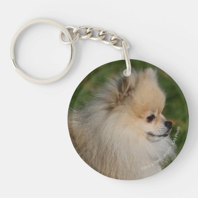 Porte-clefs Headshot 2 de Pomeranian (Devant)