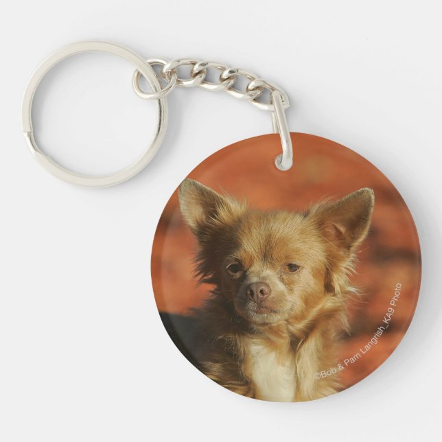 Porte-clefs Headshot de chiot de chiwawa (Devant)