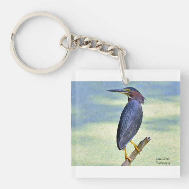 Porte-clefs Héron vert (Devant)