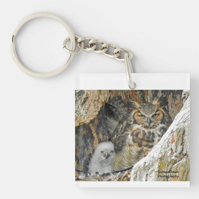 Porte-clefs Hibou à cornes blanches (Devant)