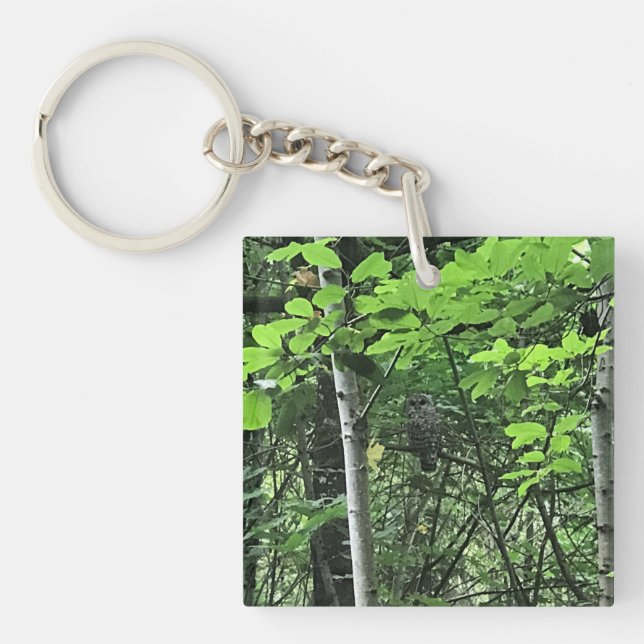 Porte-clefs Hibou dans les arbres, Oregon (Devant)