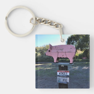 Porte-clefs Idaho Se Demande Cochon, Drôle