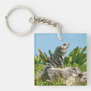 Porte-clefs Iguana