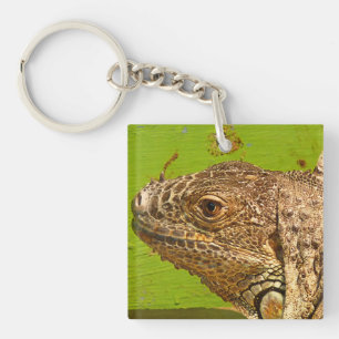 PORTE-CLEFS IGUANA