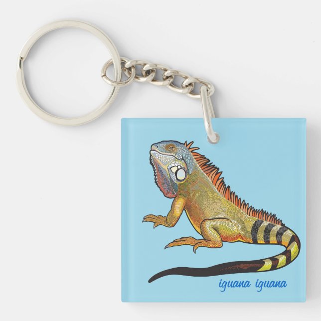 Porte-clefs iguane vert (Devant)