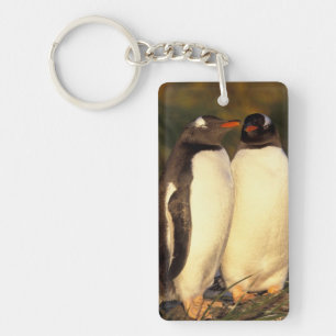 Porte-clefs Îles Falkland. Manchots papous. (Pyroscelis