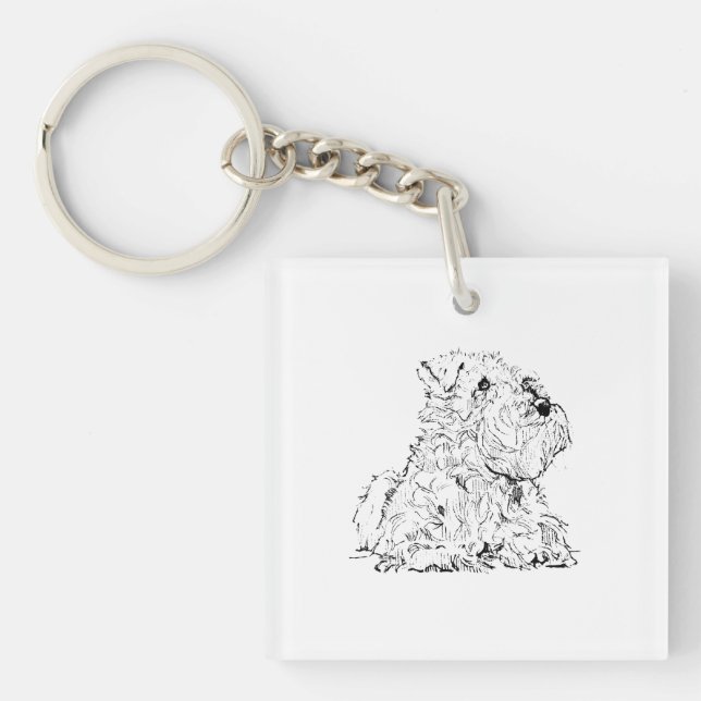 Porte-clefs Illustration de chien Schnauzer miniature (Devant)