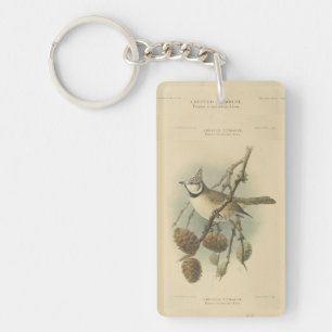 Porte-clefs Illustration vintage de l'European Crested Tit