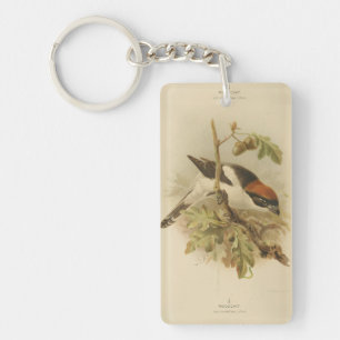 Porte-clefs Illustration vintage de Woodchat Shrike