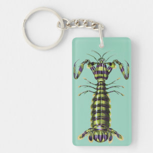Porte-clefs Impression d'art marine de la crevette mantis géan