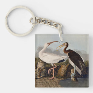 Porte-clefs Impression d'oiseau Ibis blanc de John James Audub