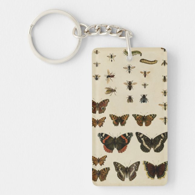 Porte-clefs Insectes de jardin par Vision Studio (Devant)