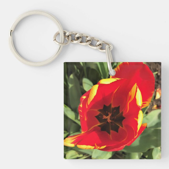 Porte-clefs Inside Banja Luka Tulip, Oregon (Devant)