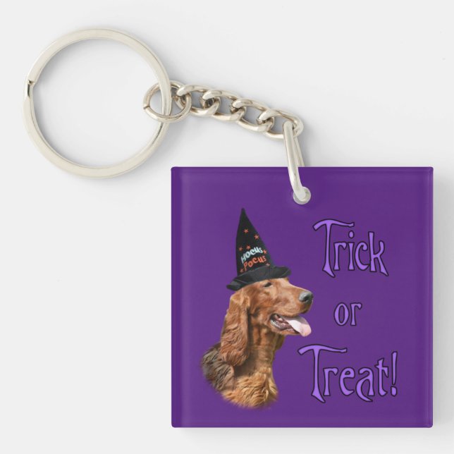 Porte-clefs Irish Setter Trick (Devant)