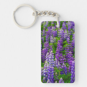 Porte-clefs Islande. Vik i Myrdal. Champ de lupins
