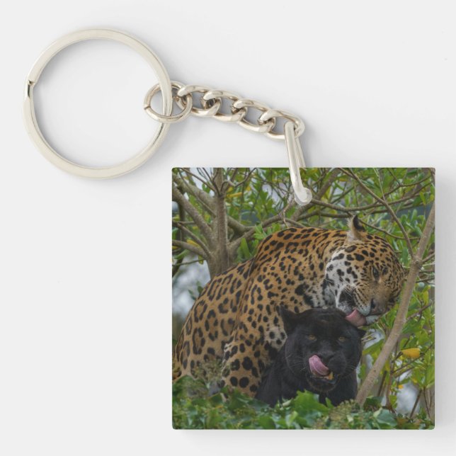 Porte-clefs Jaguars In Love (Devant)