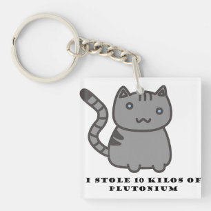 Porte-clefs J'ai volé 10 kilos de chat en plutonium