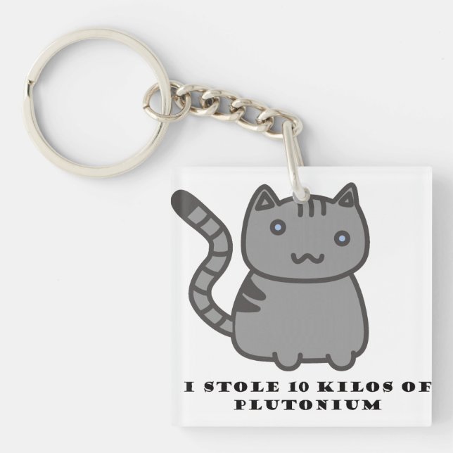 Porte-clefs J'ai volé 10 kilos de chat en plutonium (Devant)