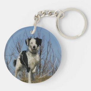 Porte-clefs Jambe de border collie augmentée