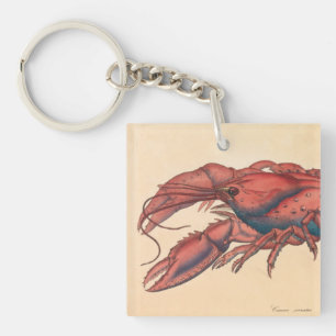 Porte-clefs James Sowerby Homard dentelé