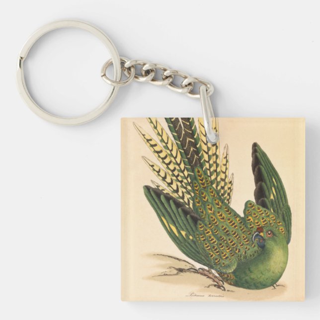 Porte-clefs James Sowerby Parrot terrestre, Psittacus terrestr (Devant)