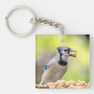 Porte-clefs Jay bleu avec arachide