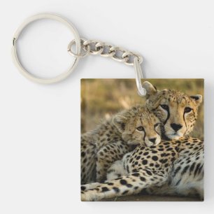 Porte-clefs Jeune guépard câlinant sa mère