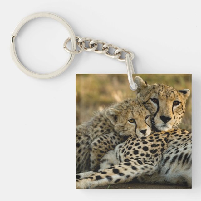 Porte-clefs Jeune guépard câlinant sa mère (Devant)