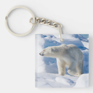 Porte-clefs Jeune Ours Polaire Mâle