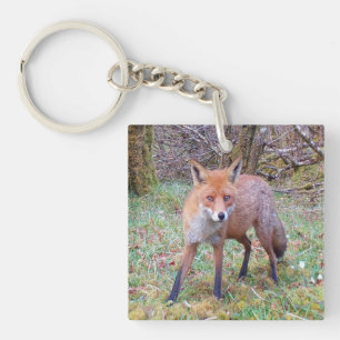 Porte-clefs Jeune renardeau sur un sol moussu et moussu Amour 