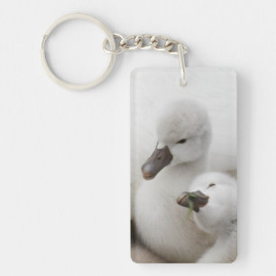 Porte-clefs Jeunes cygnes de cygne muet