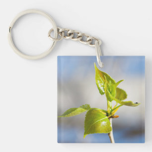 Porte-clefs Jeunes feuilles